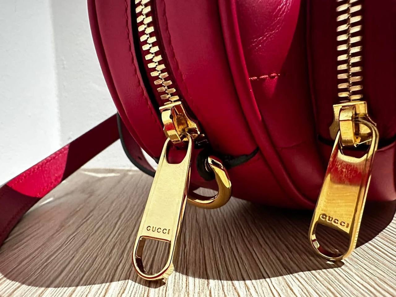Gucci rankinė
